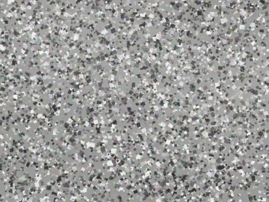 Salt & Pepper flake floor finish